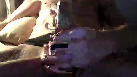 Zeus online show from April 14, 2026, 10:54 am