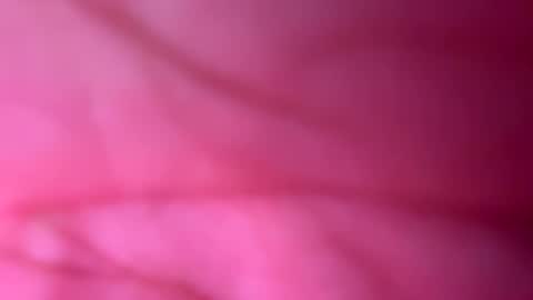 Snapshot of 666babe_ chatting on October 9, 2025, 11:41 am 666xoxo online show from October 9, 2025, 11:41 am