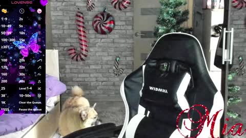 Snapshot of 666mia666 chatting on December 23, 2024, 8:11 am Mia my pvt is open and lovense is active online show from December 23, 2024, 8:11 am