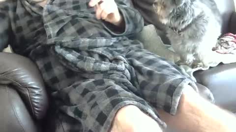 66bear online show from December 25, 2024, 4:43 pm