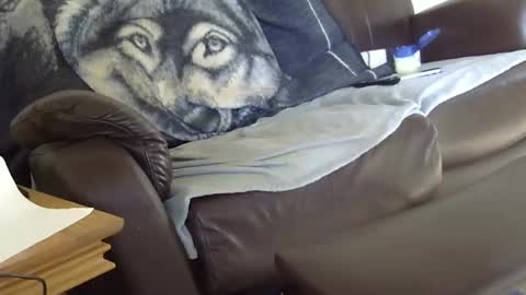 66bear online show from March 9, 2026, 12:53 pm