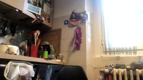 6990fiko online show from December 21, 2025, 10:44 am