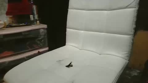 69meowxxx online show from November 3, 2025, 3:24 pm