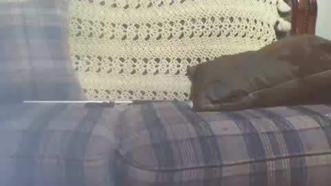 69sextoyboy69 online show from January 25, 2025, 3:41 pm