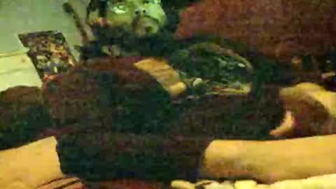 6instraighter7 online show from November 3, 2025, 11:55 am