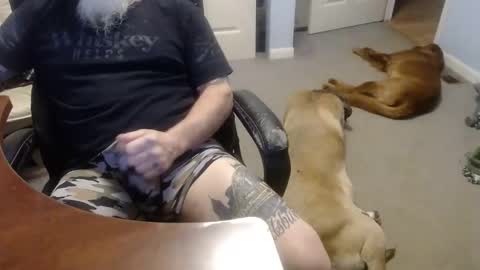 MASTIFF online show from October 13, 2025, 5:02 pm