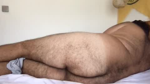 Snapshot of _alan_bear_ chatting on June 20, 2026, 3:42 am Alan online show from June 20, 2026, 3:42 am