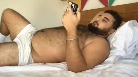 Snapshot of _alan_bear_ chatting on July 12, 2026, 7:21 am Alan online show from July 12, 2026, 7:21 am