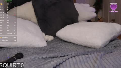 Alexa online show from January 25, 2025, 9:15 am