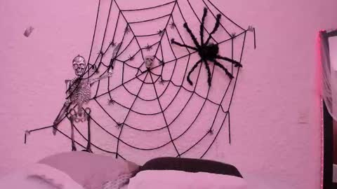 Alexander online show from October 22, 2025, 4:46 am