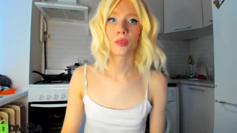 Gaylord online show from December 14, 2024, 11:50 am