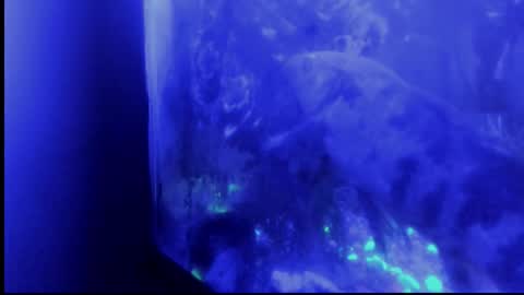 Giulia...... online show from October 29, 2025, 4:37 am