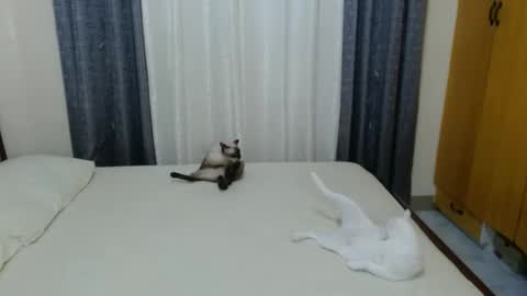 Amber online show from February 3, 2025, 5:03 pm