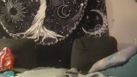 bandit online show from February 1, 2025, 2:05 am