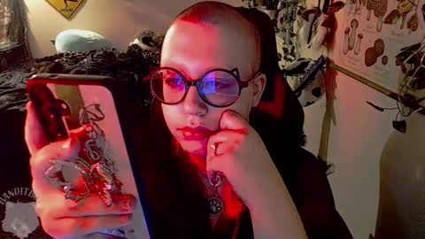 bandit online show from March 7, 2026, 4:31 am