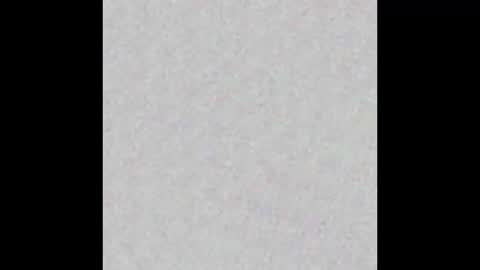 Brenda online show from January 29, 2025, 12:45 pm