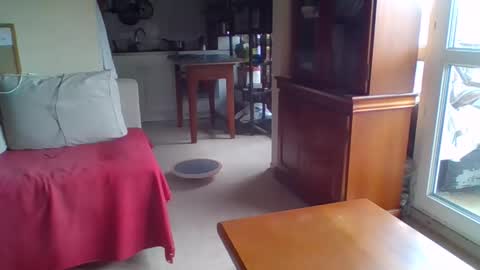 _bubble_buttfunxxx online show from September 24, 2025, 10:07 am