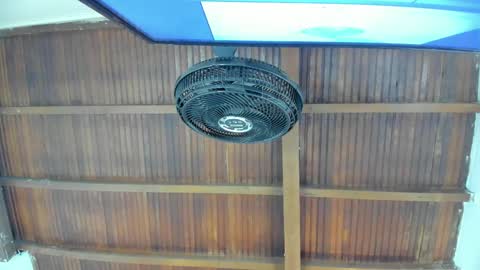 Candy online show from November 21, 2025, 6:06 pm