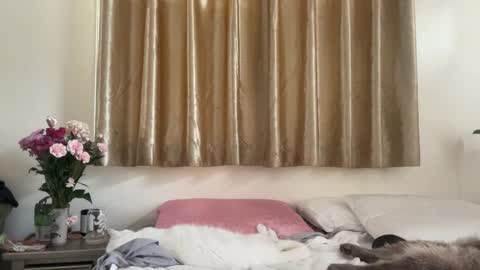 Chelsea xo online show from February 16, 2025, 9:16 pm