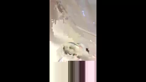 Snapshot of _da_d1ck_ chatting on March 2, 2025, 6:08 pm Da d1ck online show from March 2, 2025, 6:08 pm