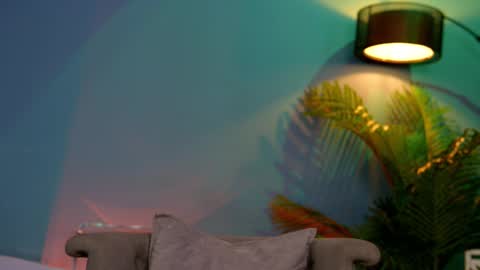 FANSLY ---   anal in private 700 tokens online show from February 15, 2025, 10:21 pm