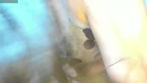 Mily online show from February 15, 2025, 9:15 pm