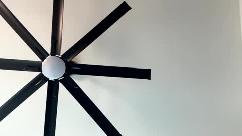 Little Wolfie online show from January 11, 2025, 10:07 pm