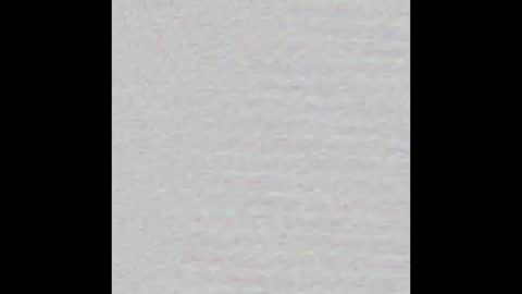 _maccaa_ online show from October 1, 2025, 11:16 am