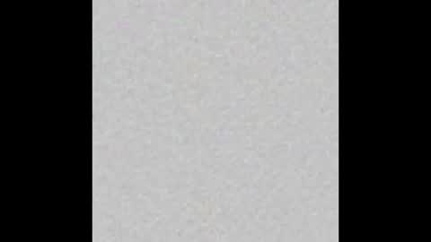 _maccaa_ online show from October 10, 2025, 11:31 am