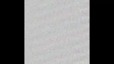 _maccaa_ online show from November 26, 2025, 11:44 am