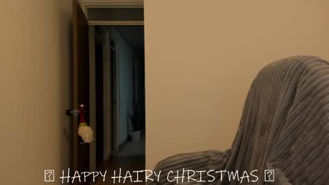 Snapshot of _miss_coco_ chatting on December 25, 2024, 12:48 am _miss_coco_ online show from December 25, 2024, 12:48 am