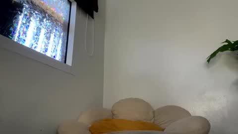 Francine Aisi Morpho - a genus of blue butterflies. online show from January 29, 2025, 5:09 am