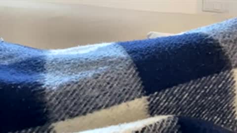 _muestroverga online show from March 15, 2026, 7:03 am