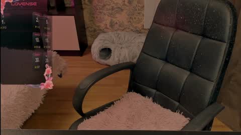 _red__fox__ online show from January 28, 2025, 3:14 pm