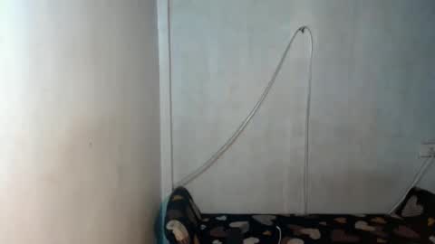 _shanexx online show from December 15, 2025, 5:34 am