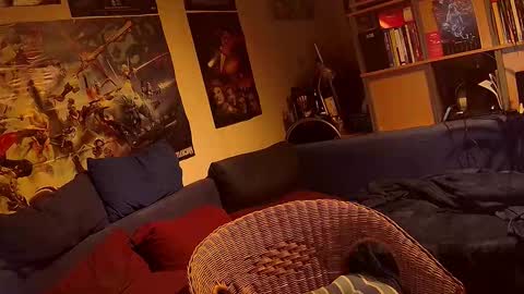 Sven online show from November 20, 2025, 10:31 pm