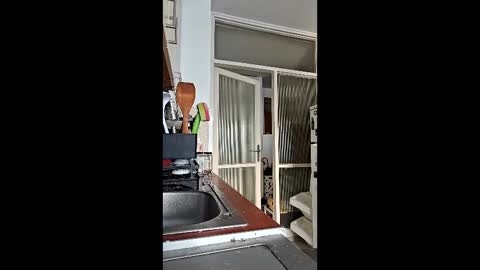 abbel_stone online show from March 15, 2026, 3:51 pm