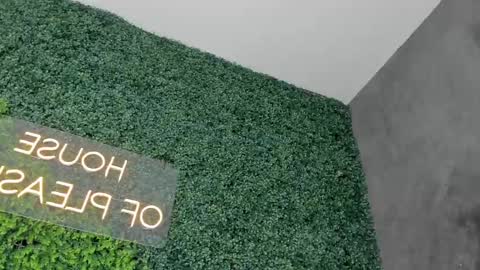 A B B Y online show from February 26, 2025, 6:21 pm