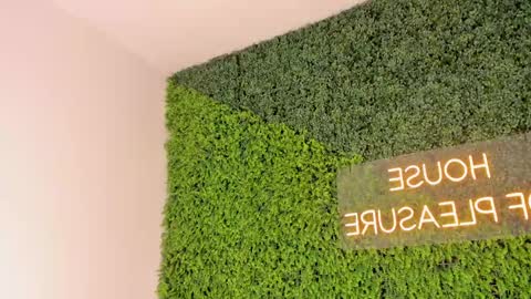 A B B Y online show from March 8, 2025, 12:09 pm