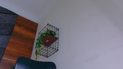 A B B Y online show from January 8, 2026, 11:34 am