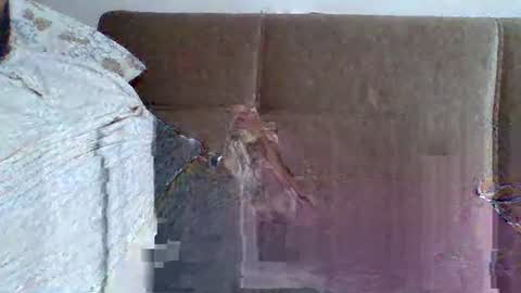 Snapshot of abdil_34 chatting on February 5, 2025, 9:18 pm abdil_34 online show from February 5, 2025, 9:18 pm