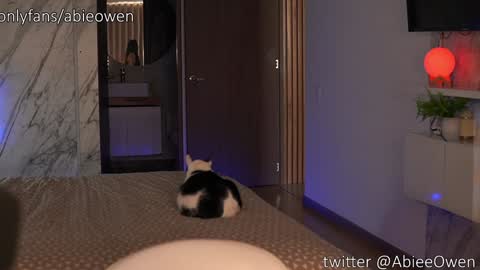 Snapshot of abie_owen chatting on September 28, 2025, 9:09 pm abie_owen online show from September 28, 2025, 9:09 pm