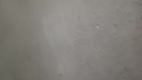 Snapshot of absltorres8 chatting on July 14, 2026, 7:57 am absltorres8 online show from July 14, 2026, 7:57 am