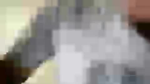 Snapshot of absltorres8 chatting on July 26, 2026, 8:27 pm absltorres8 online show from July 26, 2026, 8:27 pm