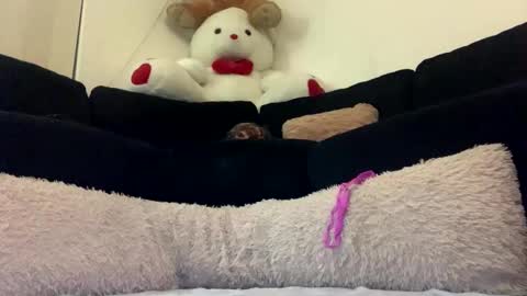 ENIGMA TZX5114 online show from February 20, 2025, 12:15 pm