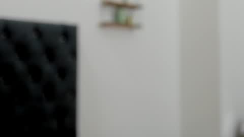 Snapshot of adam_boss chatting on December 22, 2024, 2:17 am adam boss online show from December 22, 2024, 2:17 am