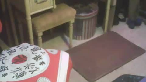 Snapshot of adamsny chatting on February 13, 2025, 8:17 am adamsny online show from February 13, 2025, 8:17 am