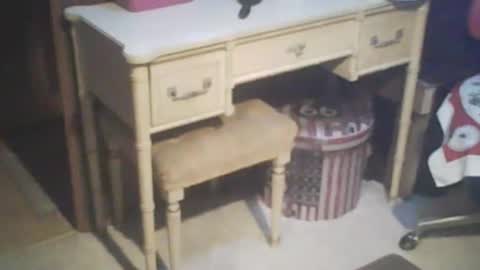 Snapshot of adamsny chatting on February 21, 2025, 7:56 am adamsny online show from February 21, 2025, 7:56 am