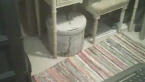 Snapshot of adamsny chatting on November 4, 2025, 8:46 am adamsny online show from November 4, 2025, 8:46 am