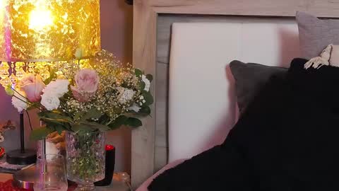 Snapshot of addictivesin chatting on January 8, 2025, 10:16 pm GAbby----Onlyfans online show from January 8, 2025, 10:16 pm